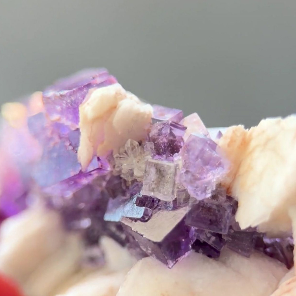 Turkish Amethyst & Asturias fluorite A /フローライト、アメシスト